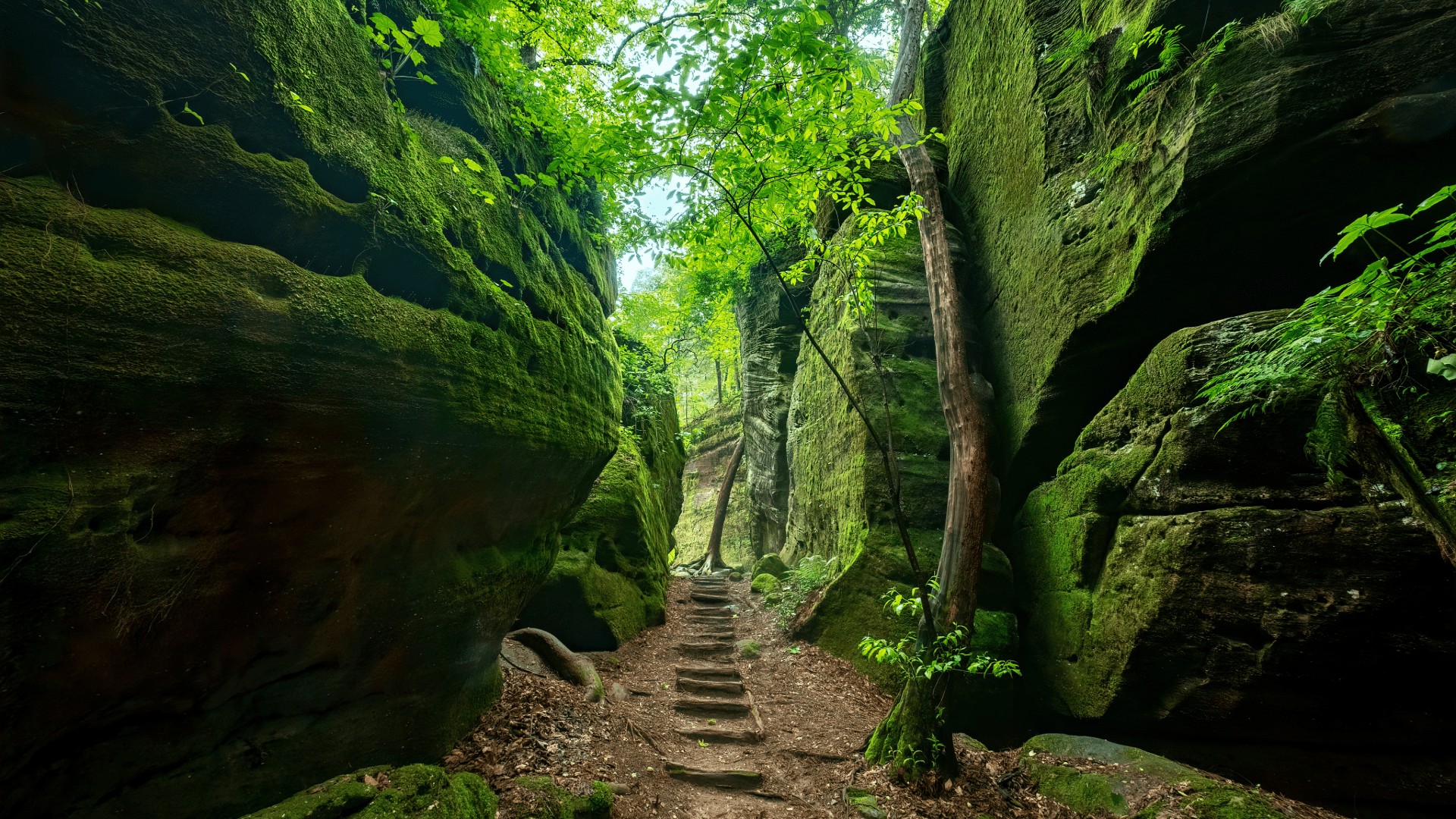 在大自然中的省察