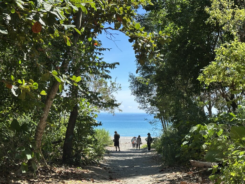 朝聖者離開曼波沙灘的地方