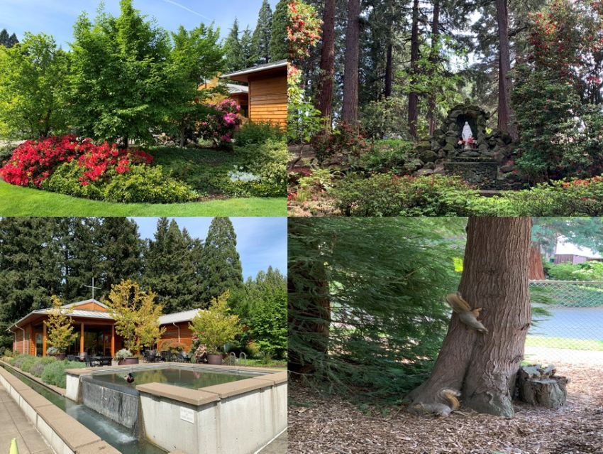 耶穌聖心的愛與召叫:PJ 神父的第三年培育