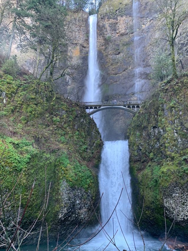 耶穌聖心的愛與召叫:PJ 神父的第三年培育