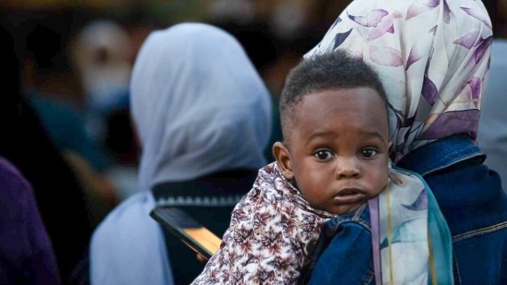 將臨期祈禱手冊：與耶穌會難民服務處一起為希望、和平與愛祈禱