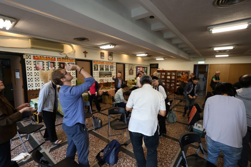 众人一起玩大叶桃心木叶片