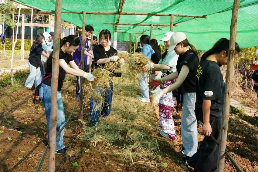 從日本東京到泰國清萊：國際學生文化交流
